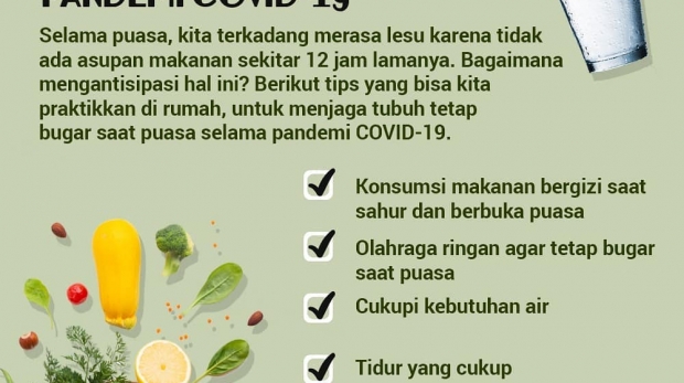 95500081_255063952353411_5298677412466203198_n